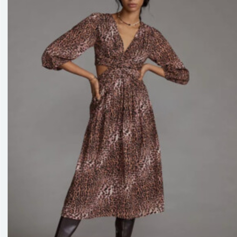 Ranna Gill Brown Animal Print Midi Dress